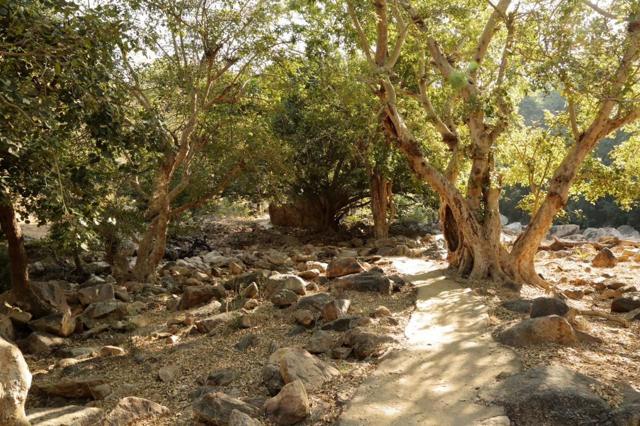 Bijapur Lodge Jawai Ngoại thất bức ảnh