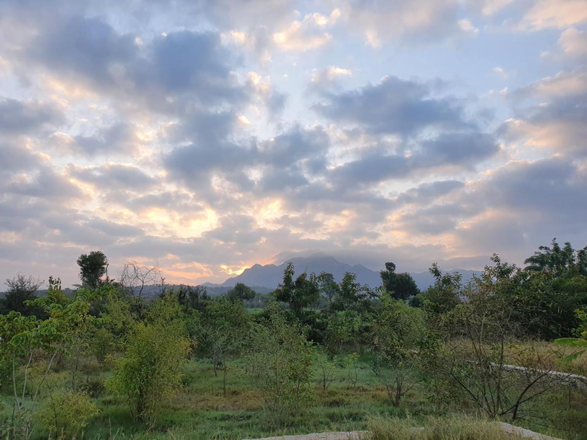 Bijapur Lodge Jawai Ngoại thất bức ảnh